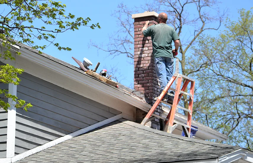 Chimney & Fireplace Inspections Services in Dickinson, TX